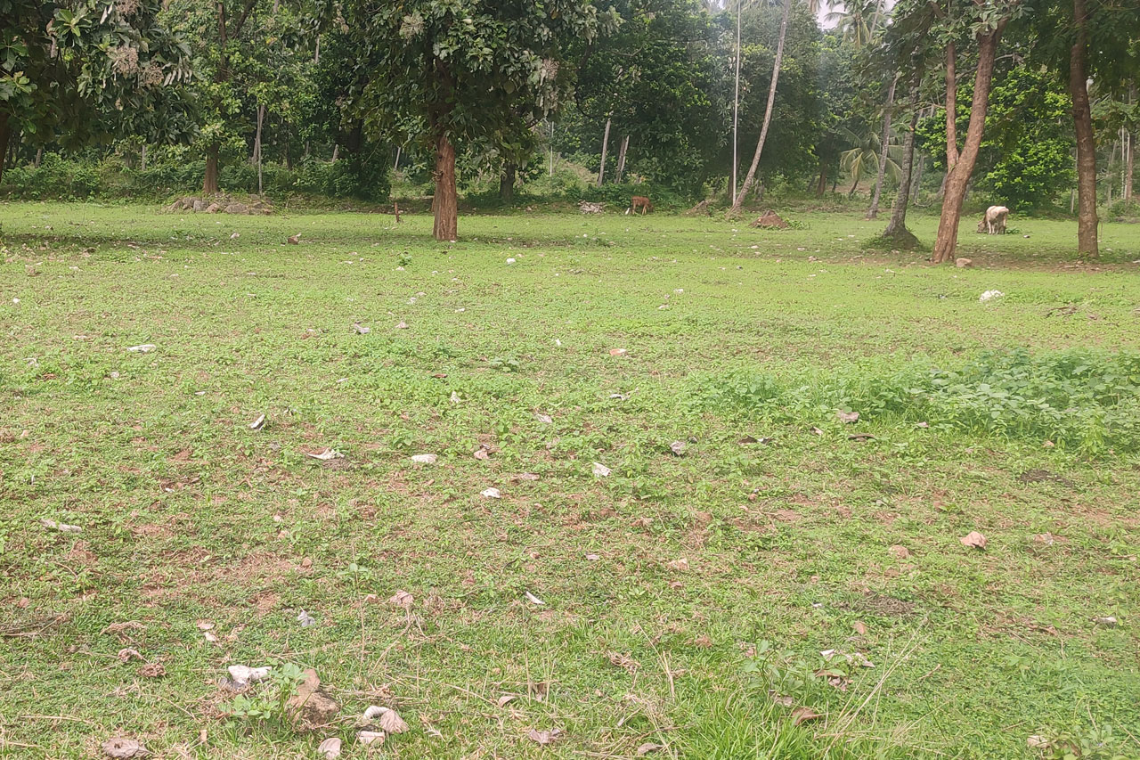 Real Estate Project Private Land For Sale High Profit Land Service