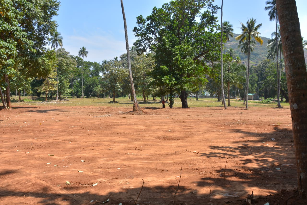 Nalini Garden