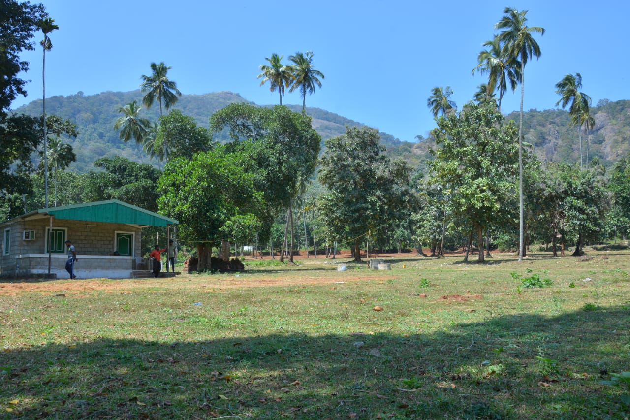 Nalini Garden