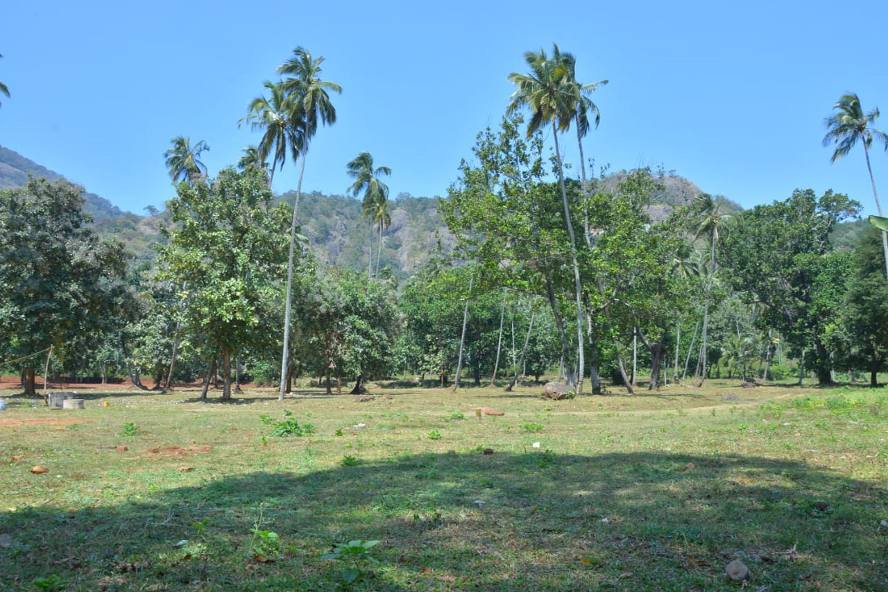 Nalini Garden